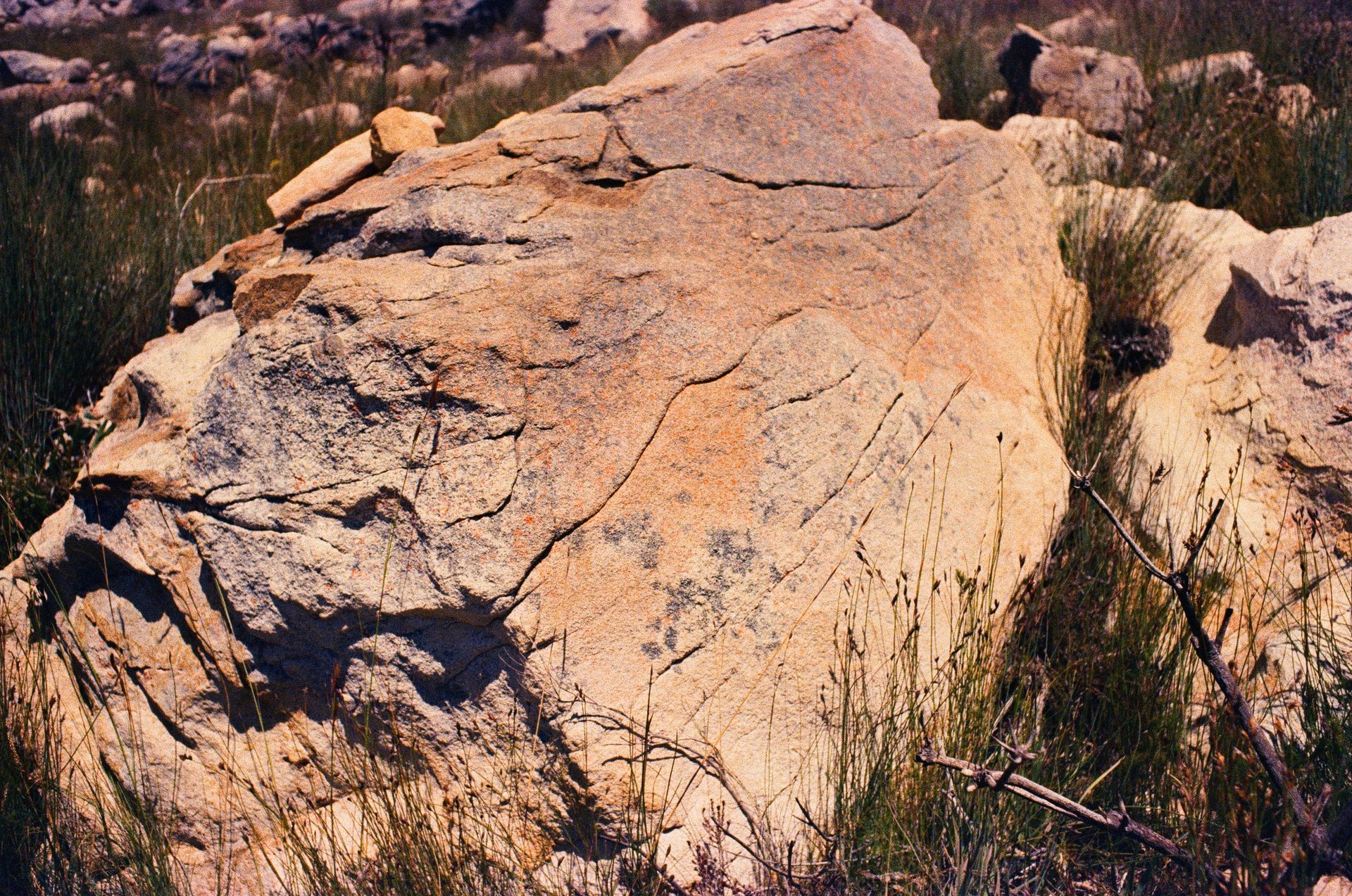 Sandstone detail
