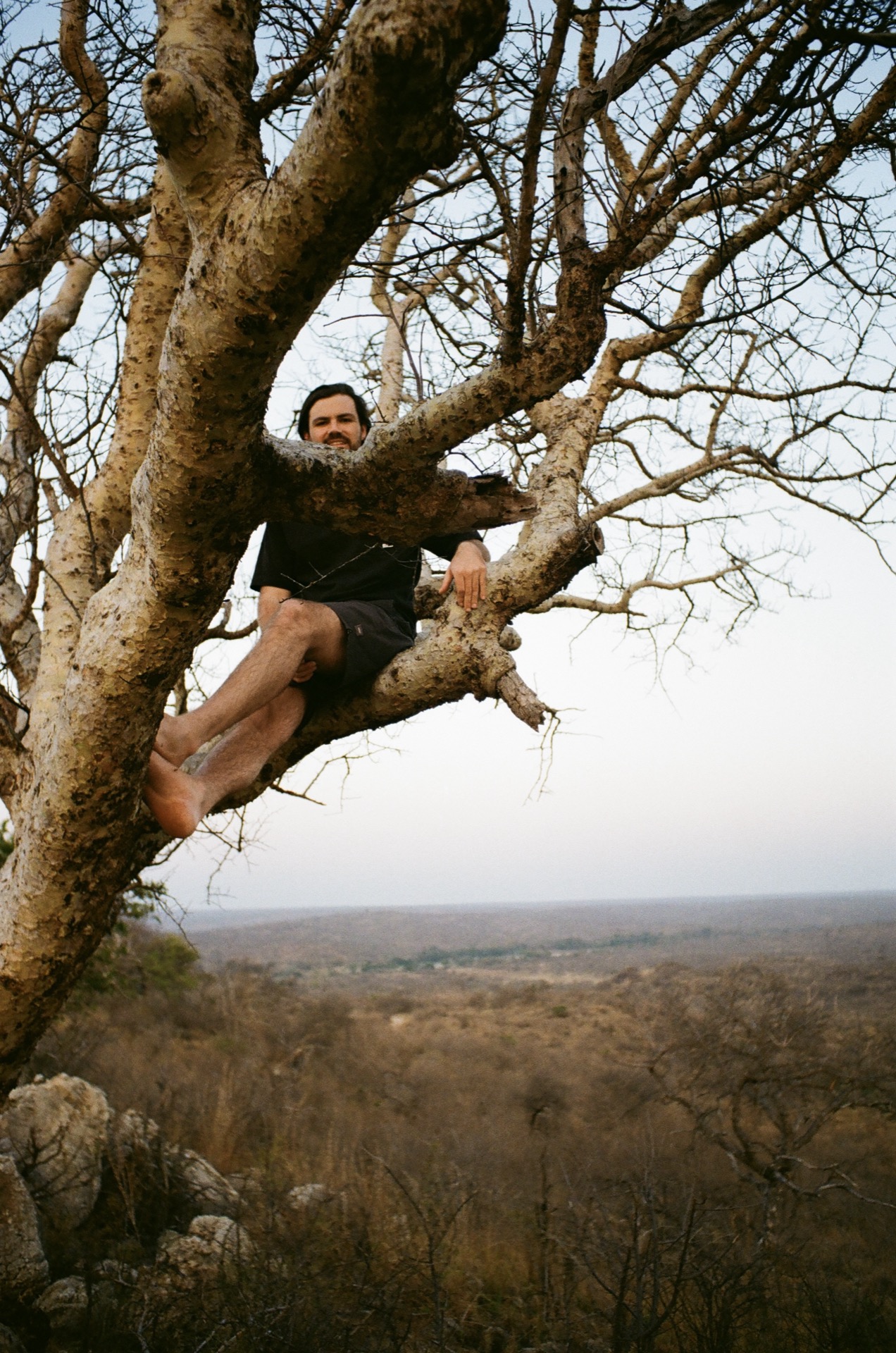 Tree portrait