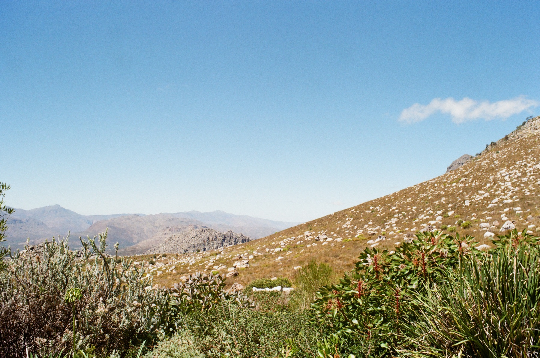 Valley, Silvermine